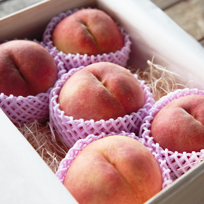 【定期便4回】★限定20セット★贈答用 最高級桐箱入り 山形特撰フルーツ便 【令和8年産先行予約】FU23-769