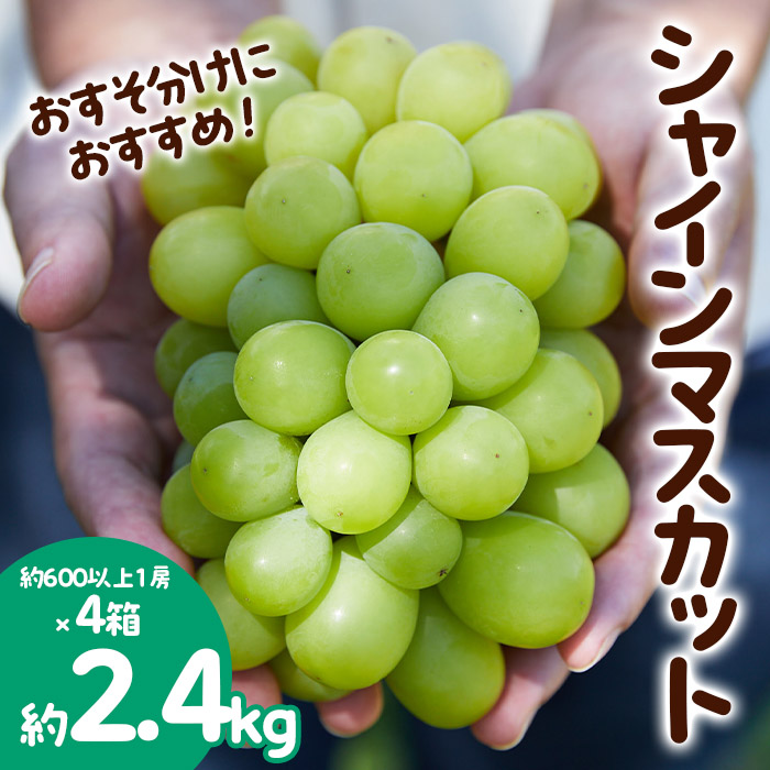 おすそ分けにおすすめ！シャインマスカット 秀品 約2.4kg(約600g1房×4箱) 【令和6年産先行予約】FS23-770