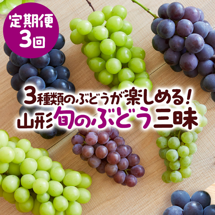 【定期便3回】3種類のぶどうが楽しめる！山形 旬のぶどう三昧 【令和6年産先行予約】FS23-771