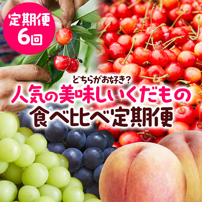 【定期便6回】どちらがお好き？人気の美味しいくだもの食べ比べ定期便 【令和7年産先行予約】FS23-772