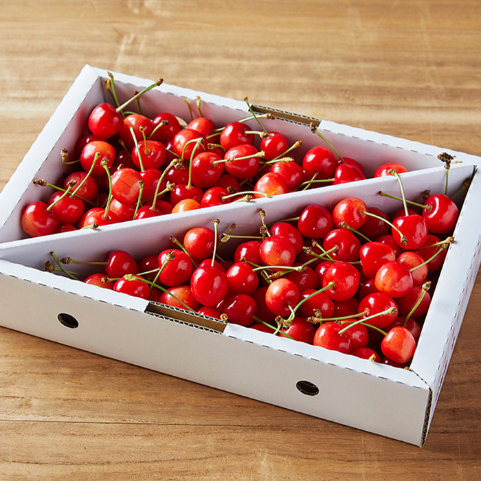 【定期便6回】どちらがお好き？人気の美味しいくだもの食べ比べ定期便 【令和8年産先行予約】FS23-772