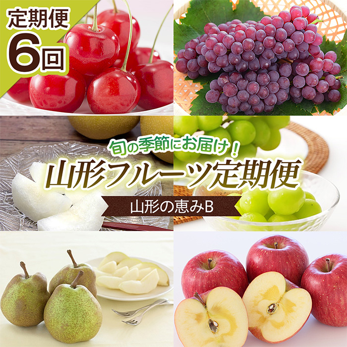 【定期便6回】山形の恵みB 【令和8年産先行予約】FS25-645