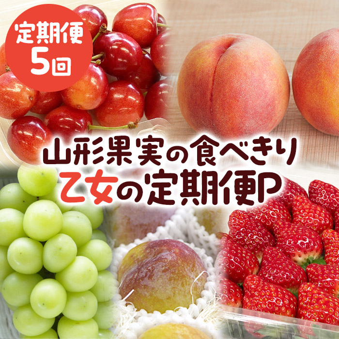 【定期便5回】山形果実の食べきり[乙女の定期便P] 【令和7年産先行予約】FU23-774