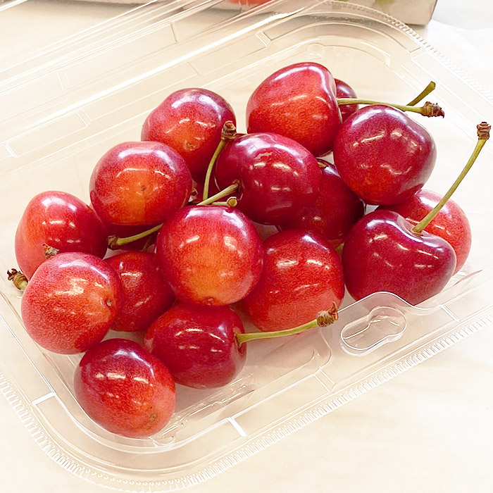 【定期便5回】山形果実の食べきり[乙女の定期便P] 【令和8年産先行予約】FS25-658