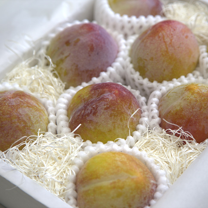 【定期便5回】山形果実の食べきり[乙女の定期便P] 【令和8年産先行予約】FS25-658