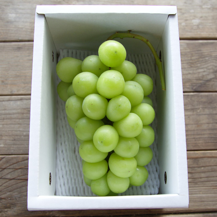 【定期便5回】山形果実の食べきり[乙女の定期便P] 【令和8年産先行予約】FS25-658