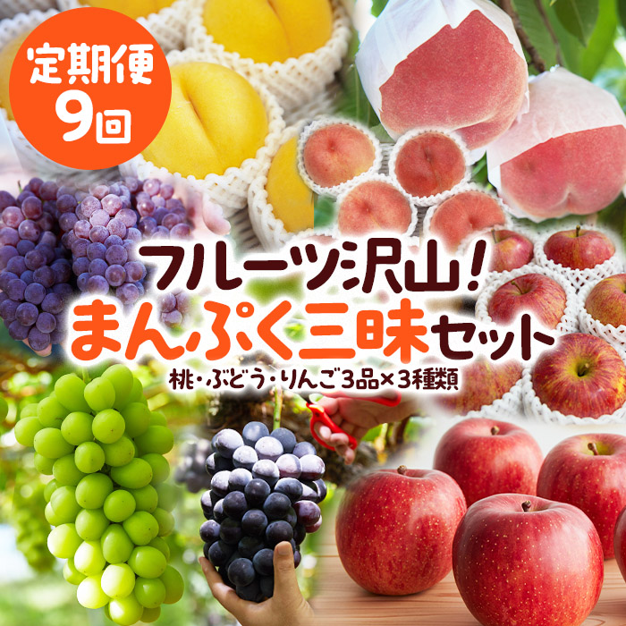 【定期便9回】フルーツ沢山！まんぷく三昧セット (桃・ぶどう・りんご 3品目×3種類) 【令和8年産先行予約】FU23-849