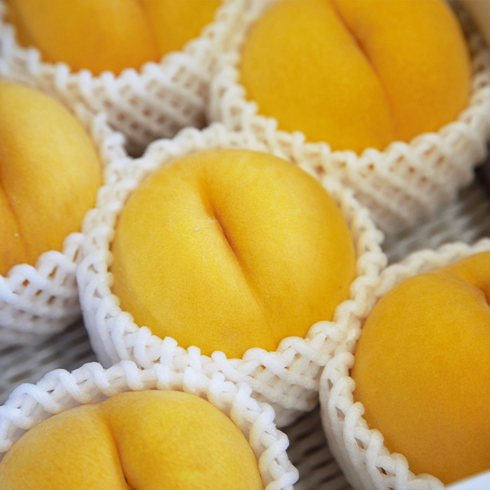 【定期便9回】フルーツ沢山！まんぷく三昧セット (桃・ぶどう・りんご 3品目×3種類) 【令和8年産先行予約】FU23-849