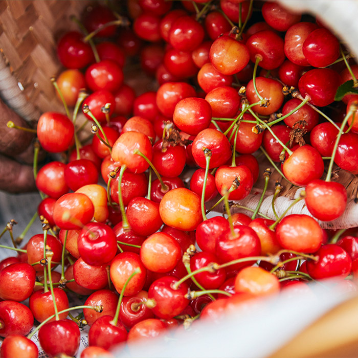 【定期便4回】初夏から冬まで！山形のくだもの便 【令和8年産先行予約】FU23-701