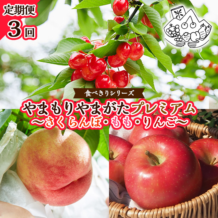 【定期便3回】★食べきりシリーズ★やまもりやまがたプレミアム～さくらんぼ・もも・りんご～ 【令和8年産先行予約】FU23-704