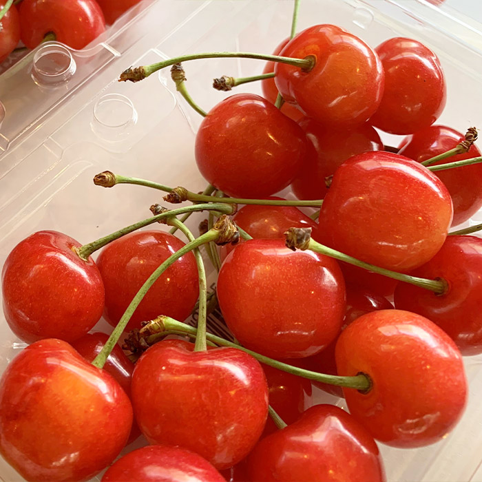 ãå®æäŸ¿3åãâ
é£ã¹ããã·ãªãŒãºâ
ããŸããããŸãããã¬ãã¢ã ïœãããããŒã»ããã»ãããïœ ã什å8幎ç£å
è¡äºçŽãFU23-704