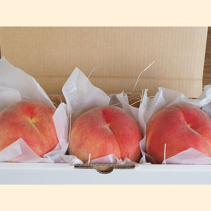 ãå®æäŸ¿3åãâ
é£ã¹ããã·ãªãŒãºâ
ããŸããããŸãããã¬ãã¢ã ïœãããããŒã»ããã»ãããïœ ã什å8幎ç£å
è¡äºçŽãFU23-704