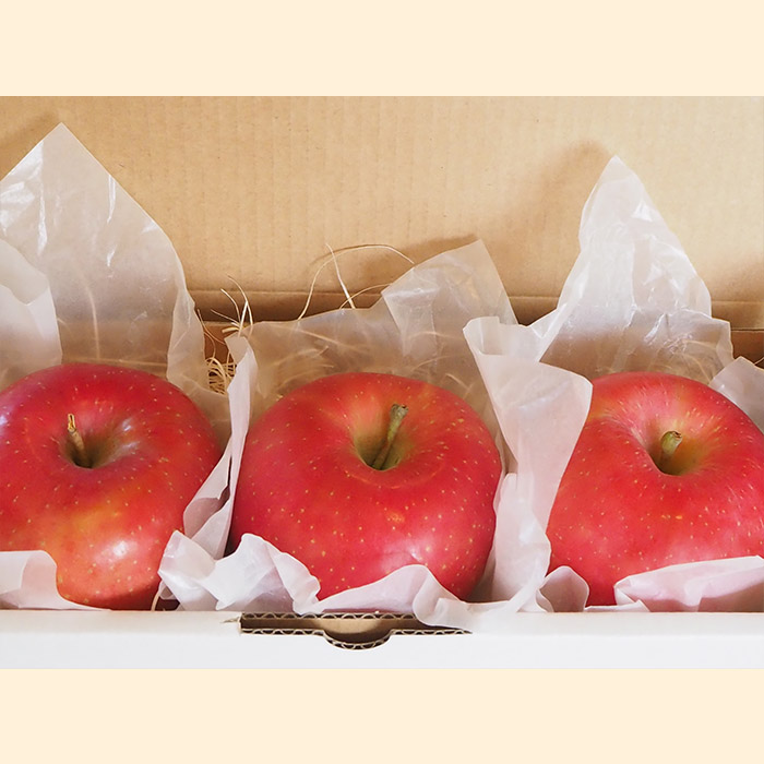 ãå®æäŸ¿3åãâ
é£ã¹ããã·ãªãŒãºâ
ããŸããããŸãããã¬ãã¢ã ïœãããããŒã»ããã»ãããïœ ã什å8幎ç£å
è¡äºçŽãFU23-704