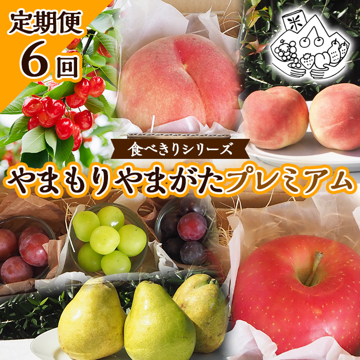 【定期便6回】★食べきりシリーズ★やまもりやまがたプレミアム 【令和7年産先行予約】FU23-735