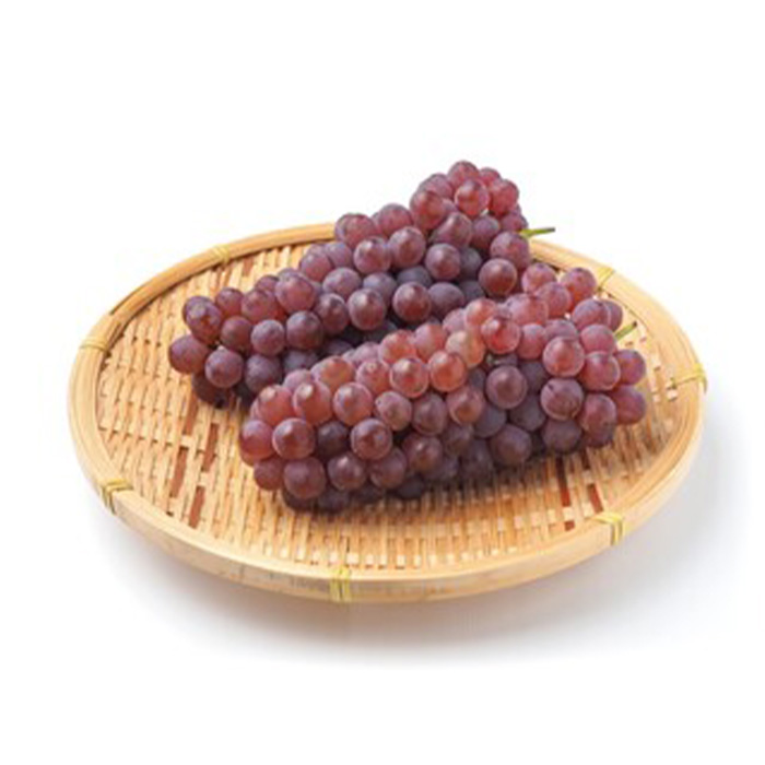 【定期便3回】やまがた フルーツ定期便 ”最上” 山形名物フルーツ [佐藤錦・デラウェア・やや硬め白桃] 【令和8年産先行予約】FS25-630