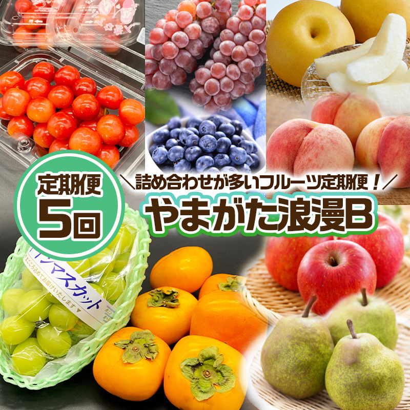【定期便5回】やまがた浪漫B [さくらんぼ・デラウェアとブルーベリー・白桃と和梨・シャインマスカットと柿・サンふじとラ・フランス] FZ24-929