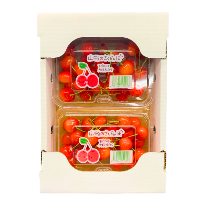 ãå®æäŸ¿8åãããŸãã æ¬ã®æç©ãªãŒã«ã¹ã¿ãŒ FZ24-537