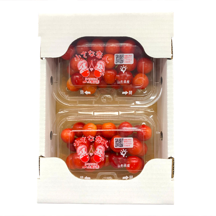 ãå®æäŸ¿8åãããŸãã æ¬ã®æç©ãªãŒã«ã¹ã¿ãŒ FZ24-537