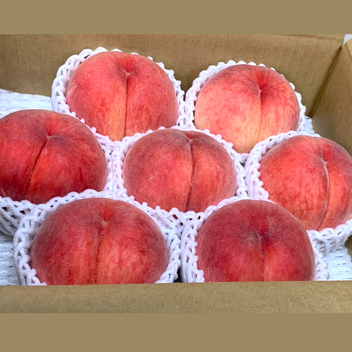 【定期便8回】やまがた 旬の果物オールスター FZ24-537