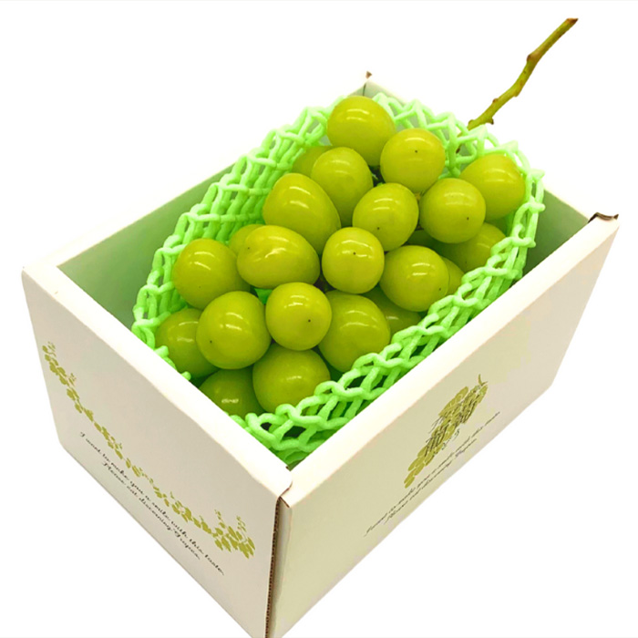 【定期便8回】やまがた 旬の果物オールスター FZ24-537