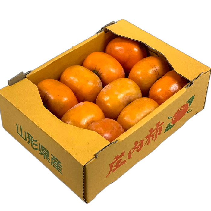 ãå®æäŸ¿8åãããŸãã æ¬ã®æç©ãªãŒã«ã¹ã¿ãŒ FZ24-537