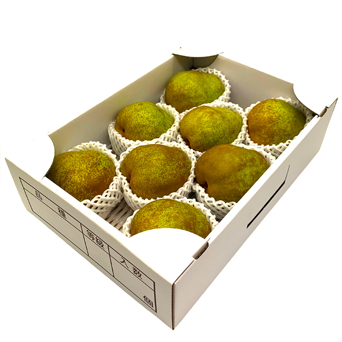 【定期便8回】やまがた 旬の果物オールスター FZ24-537