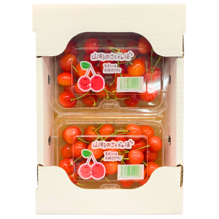 【定期便2回】おいしいやまがた さくらんぼとシャインマスカットの2回定期便【令和8年産先行予約】FS24-530