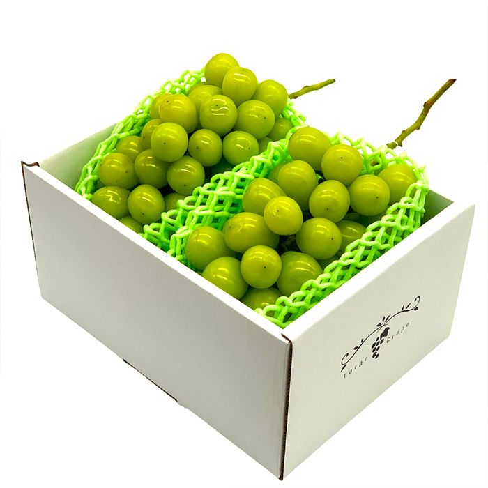 【定期便2回】おいしいやまがた さくらんぼとシャインマスカットの2回定期便【令和8年産先行予約】FS24-530