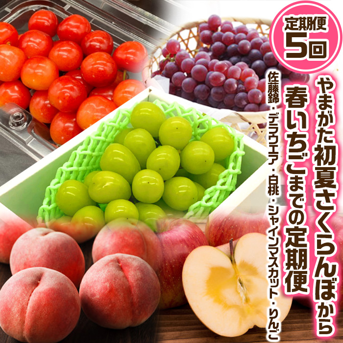 【定期便5回】やまがた ”初夏さくらんぼから冬りんご”までの5回定期便(佐藤錦・デラウエア・白桃・シャインマスカット・りんご) 【令和8年産先行予約】FS24-531