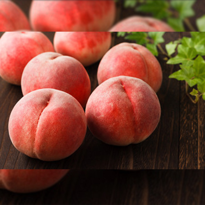 【定期便5回】やまがた 煌めきフルーツ定期便(佐藤錦・大玉白桃・シャインマスカット・大玉ラ・フランス・いちご)【令和8年産先行予約】FU23-845