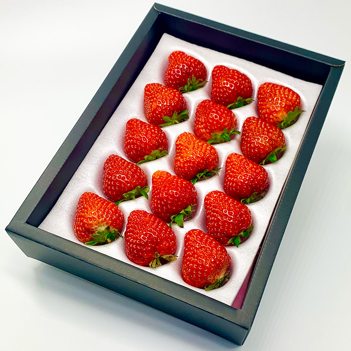 【定期便5回】やまがた 煌めきフルーツ定期便(佐藤錦・大玉白桃・シャインマスカット・大玉ラ・フランス・いちご)【令和8年産先行予約】FU23-845