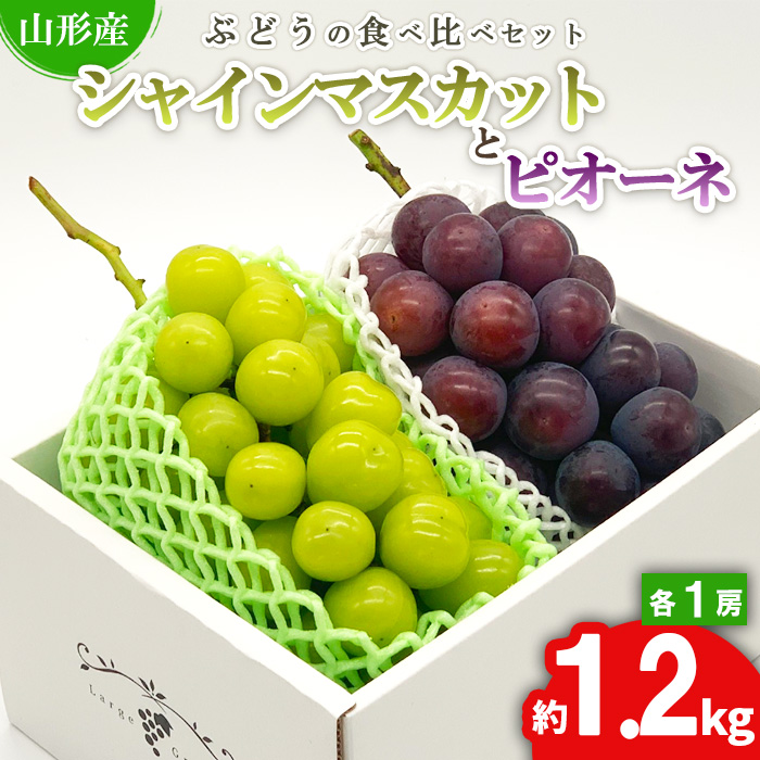 ★ぶどうの食べ比べセット★シャインマスカットとピオーネ 約1.2kg（各1房) 秀品 期間限定 【令和6年産先行予約】FS23-846