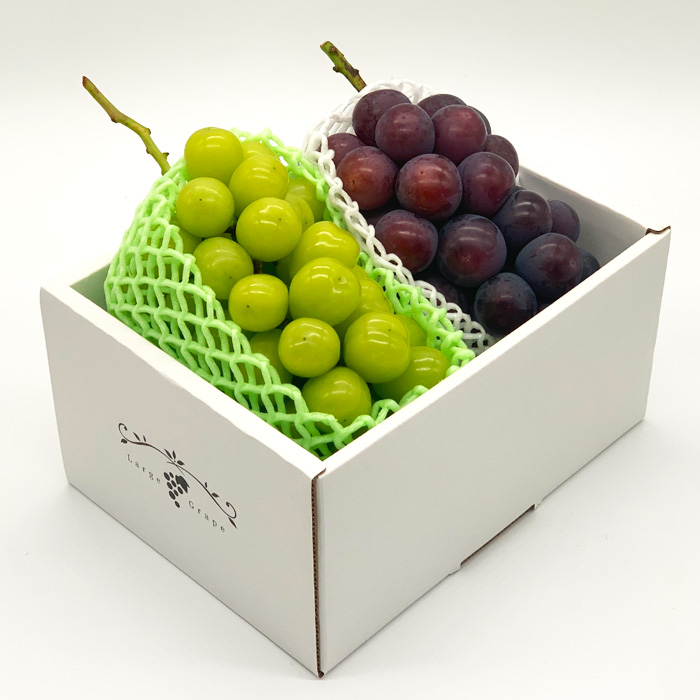 ★ぶどうの食べ比べセット★シャインマスカットとピオーネ 約1.2kg（各1房) 秀品 期間限定【令和8年産先行予約】FS24-526