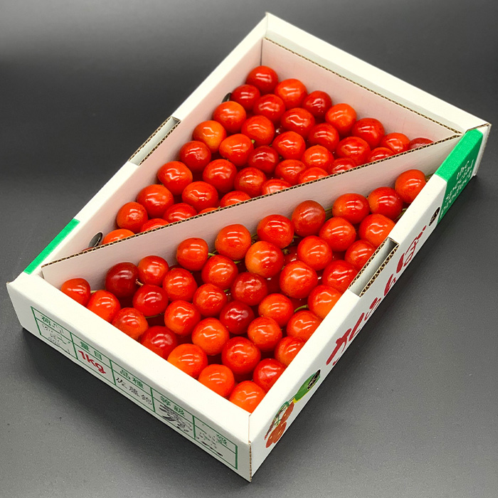 【定期便3回】やまがた秀逸フルーツ 贈答品クラス 【令和8年産先行予約】FS24-532