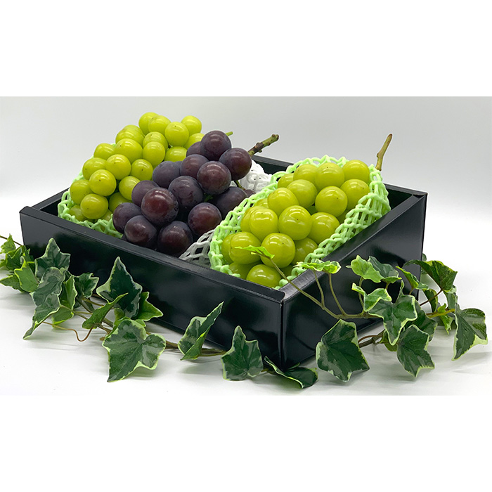 【定期便3回】やまがた秀逸フルーツ 贈答品クラス 【令和8年産先行予約】FS24-532