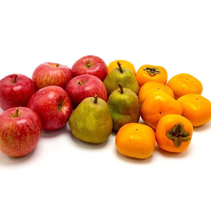 【定期便3回】やまがた秀逸フルーツ 贈答品クラス 【令和8年産先行予約】FS24-532