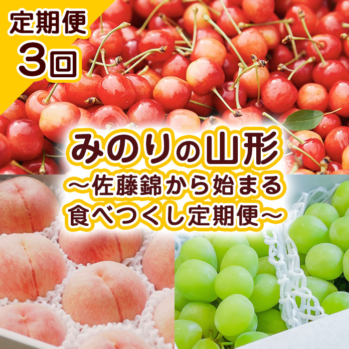 【定期便3回】みのりの山形～佐藤錦から始まる食べつくし定期便～ 【令和7年産先行予約】FU23-708