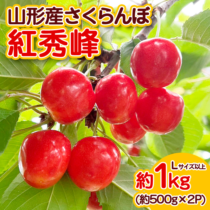 山形産 さくらんぼ 紅秀峰 Lサイズ以上 約1kg 【令和7年産先行予約】FS23-709