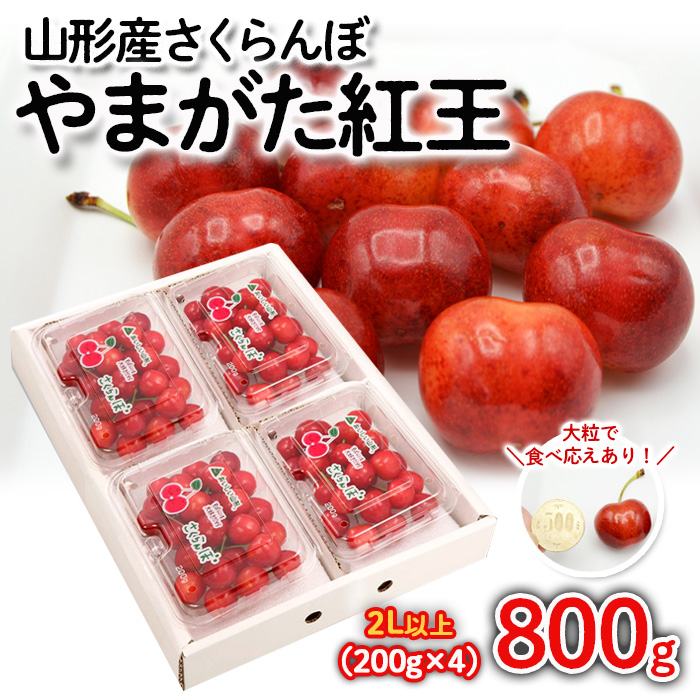 さくらんぼ やまがた紅王 約800g(200g×4パック) 2Lサイズ以上 【令和7年産先行予約】FS24-562