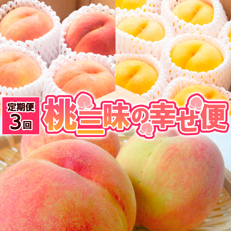 【定期便3回】桃三昧の幸せ便 【令和8年産先行予約】FS25-612