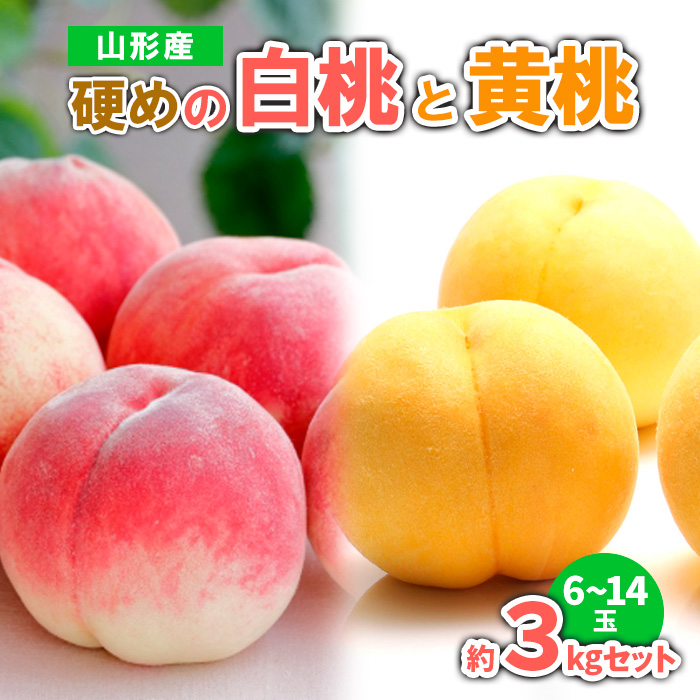 山形産 硬めの白桃と黄桃　約３kgセット（6～14玉)　秀品  【令和8年産先行予約】FS23-779
