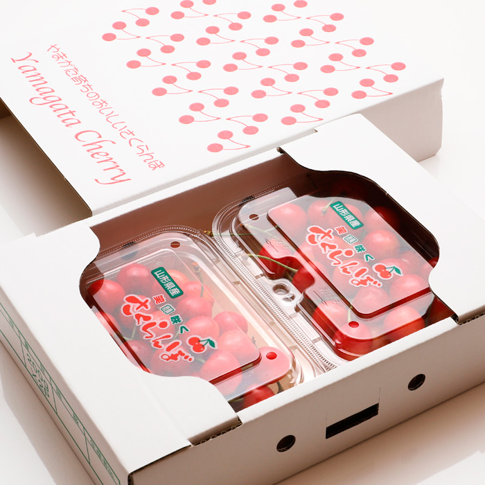 【定期便5回】イチオシ★フルーツ！山形からお届け 【令和8年産先行予約】FS25-613