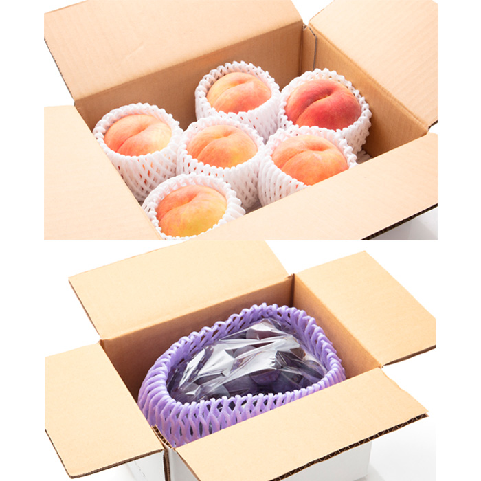 【定期便5回】イチオシ★フルーツ！山形からお届け 【令和8年産先行予約】FS25-613