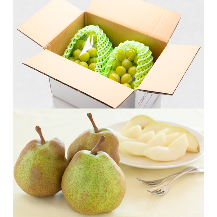 【定期便5回】イチオシ★フルーツ！山形からお届け 【令和8年産先行予約】FS25-613