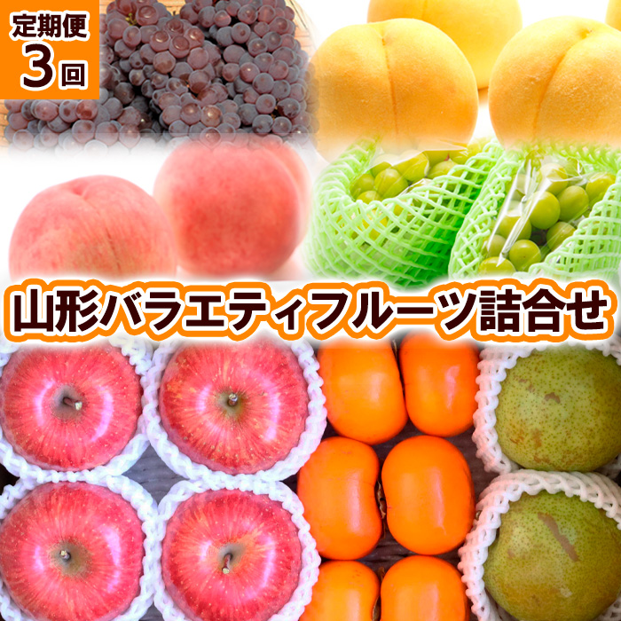 【定期便3回】山形バラエティフルーツ詰合せ 【令和8年産先行予約】FU23-789