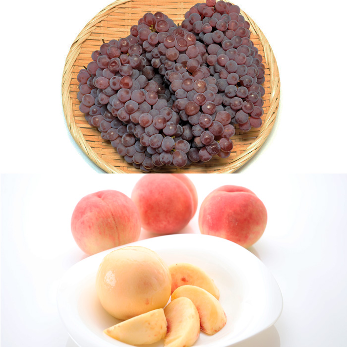 【定期便3回】山形バラエティフルーツ詰合せ 【令和8年産先行予約】FU23-789