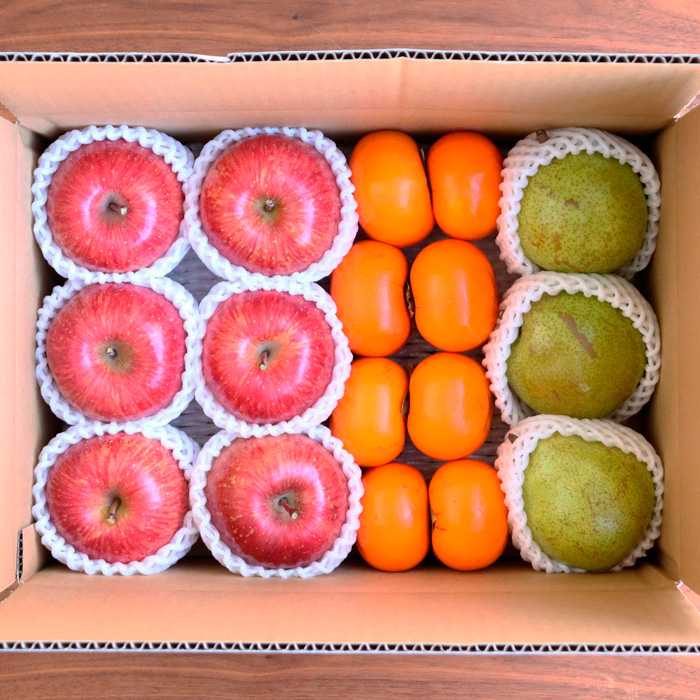 【定期便3回】山形バラエティフルーツ詰合せ 【令和8年産先行予約】FU23-789