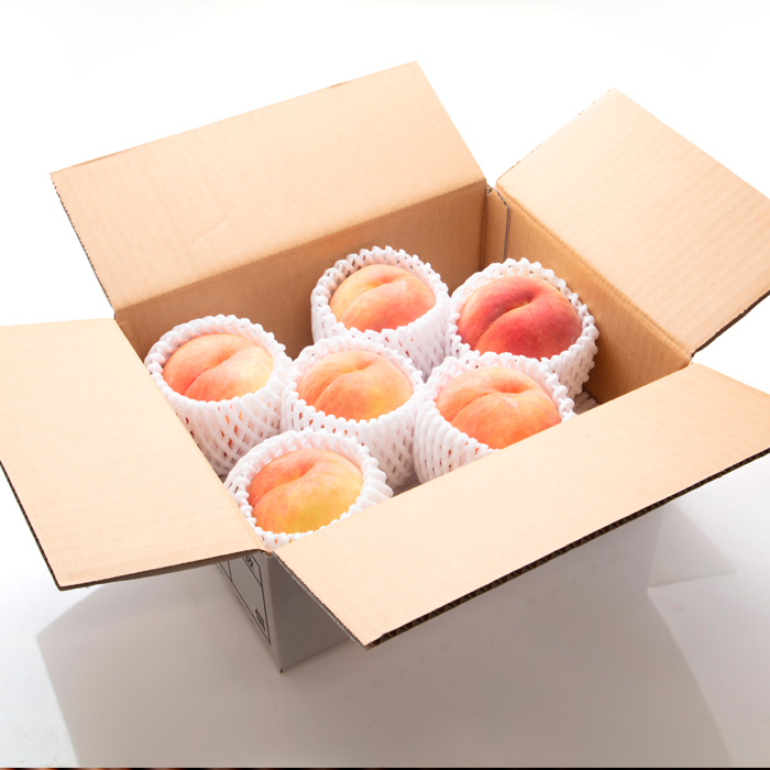 【定期便4回】樹になる定期便【令和8年産先行予約】FU23-795