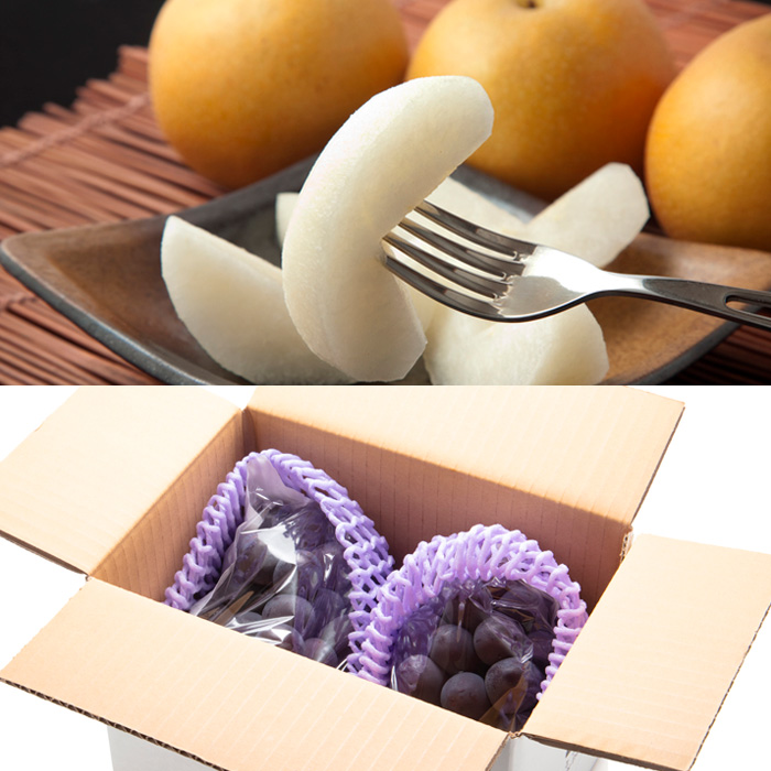 【定期便6回】春夏秋冬・彩りフルーツ 【令和8年産先行予約】FU23-796