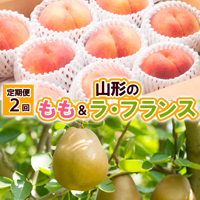 【定期便2回】山形の　もも＆ラ・フランス【令和8年産先行予約】FU23-797
